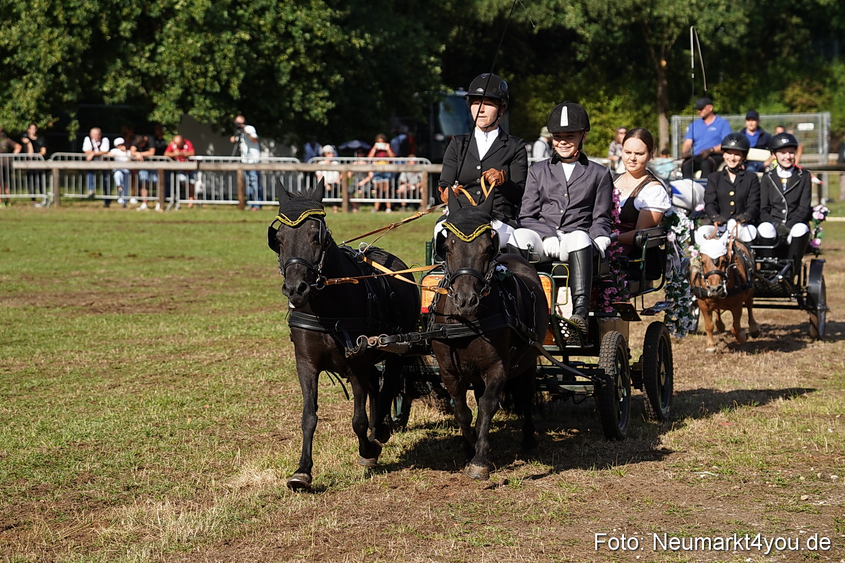 Pferde und Fohlenschau 2022 0095 